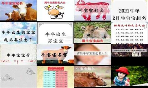 2021牛年宝宝起名好听的名字大全_宝宝起名,第2张